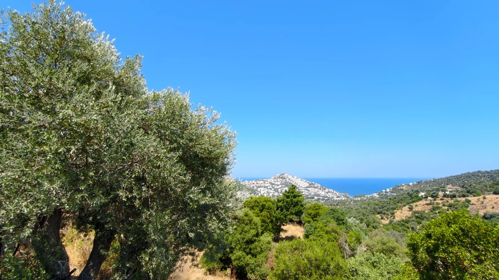 Sea view Yalikavak